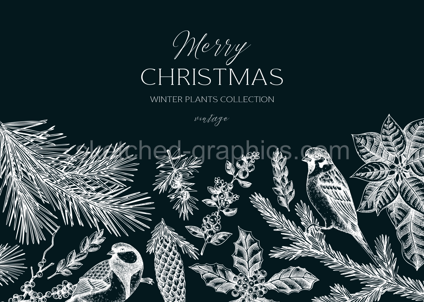Christmas background design. Winter plants vintage banner. Conifer trees, winter flowers, birds sketches on chalkboard. Hand drawn vector illustration. NOT AI generated Illustration